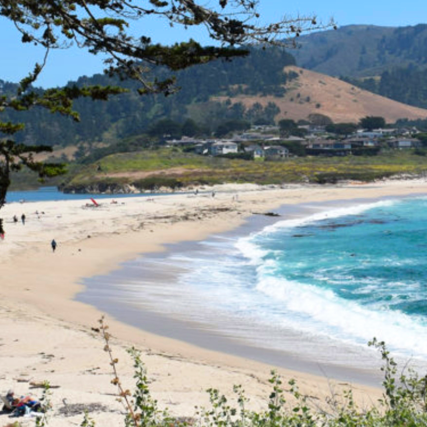 Carol Crandall, Top Real Estate Broker, Carmel-by-the-Sea