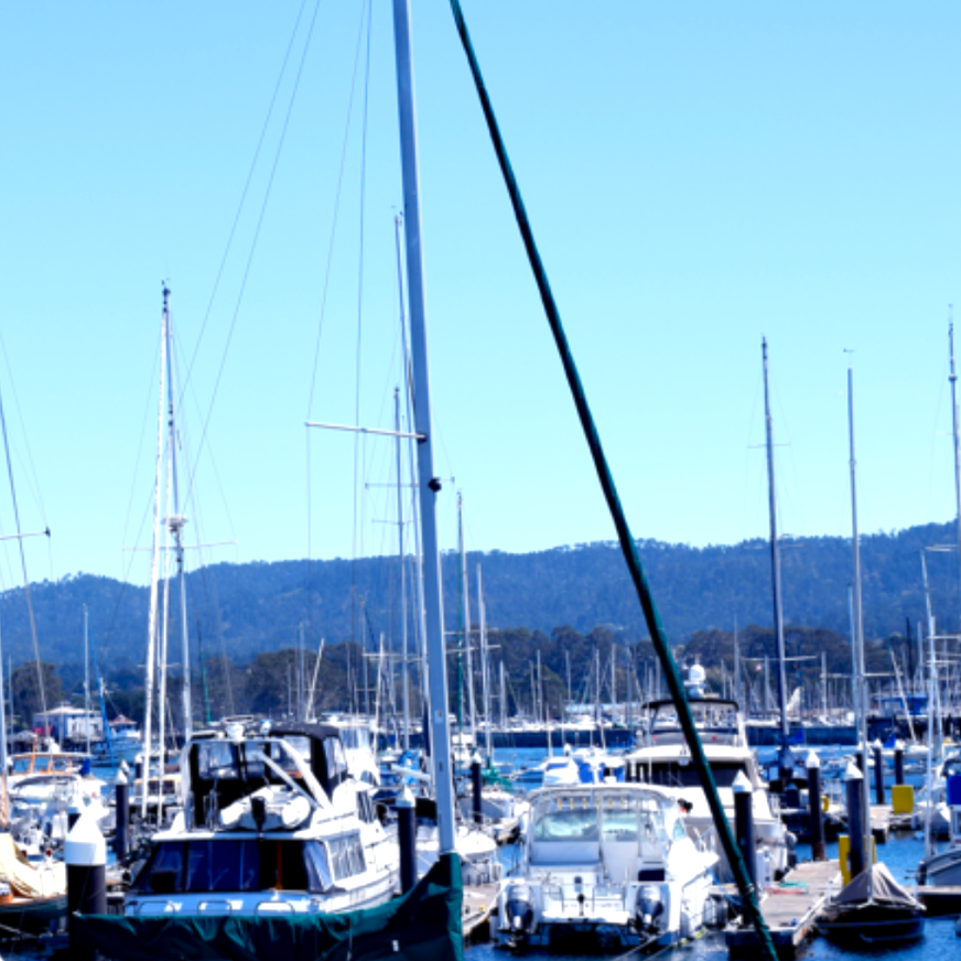 Carol Crandall, Top Real Estate Broker, Carmel-by-the-Sea