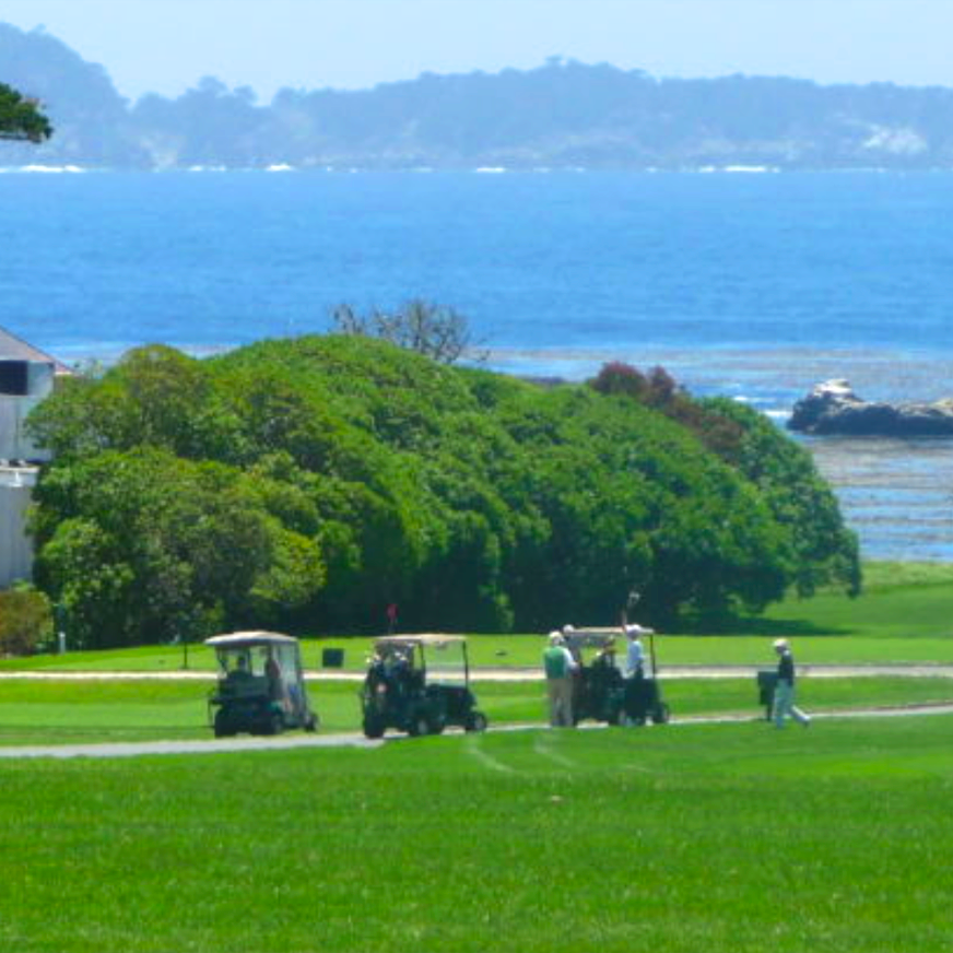 Carol Crandall, Top Real Estate Broker, Carmel-by-the-Sea