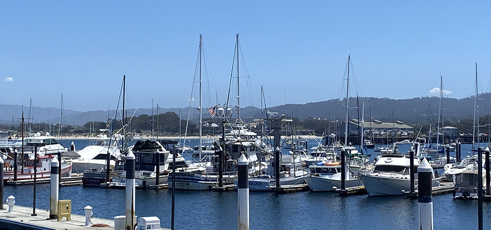 Carol Crandall, Top Real Estate Broker, Carmel-by-the-Sea, Monterey