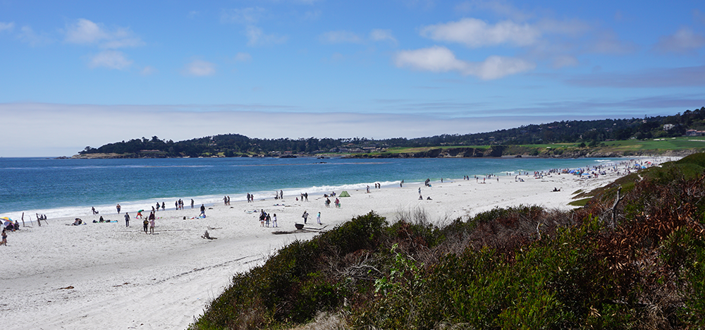 Carol Crandall, Top Real Estate Broker, Carmel-by-the-Sea