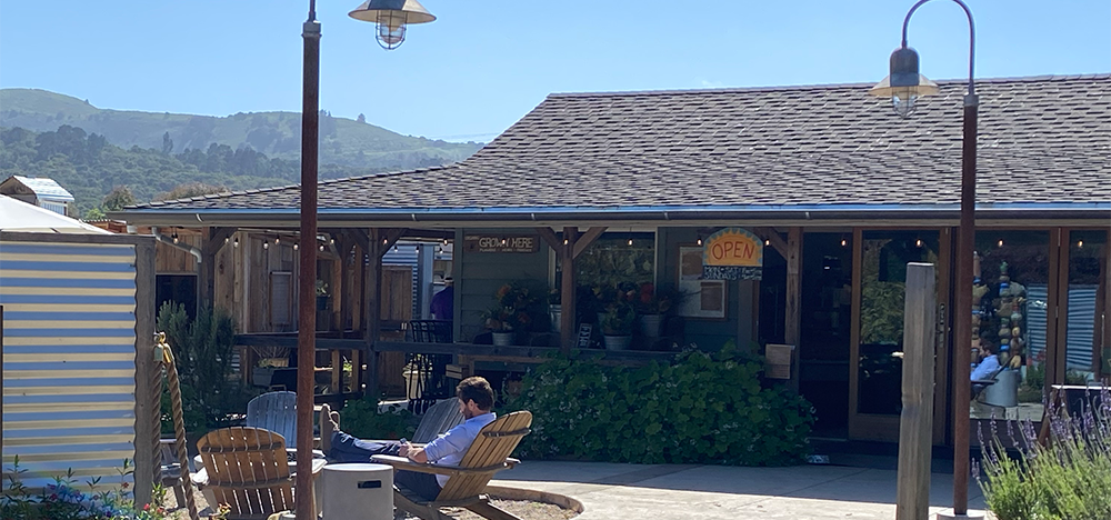 Carol Crandall, Top Real Estate Broker, Carmel-by-the-Sea, Carmel Valley